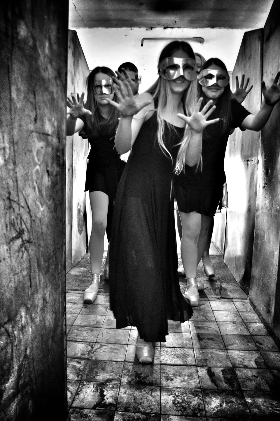 Nf 24,10 Foto Viviane Gutheil